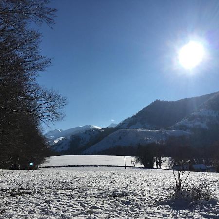 Charmant Appartement Sur Cour, Le Berlingott บาญเญอ-เดอ-บีกอร์ ภายนอก รูปภาพ